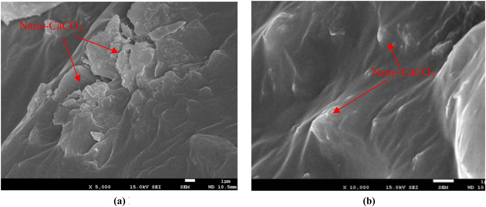 Figure 5 
                     Different magnification images of nano-CaCO3-modified asphalt: (a) nano-CaCO3-modified asphalt amplifies 5,000 times and (b) nano-CaCO3-modified asphalt amplifies 10,000 times.
                  