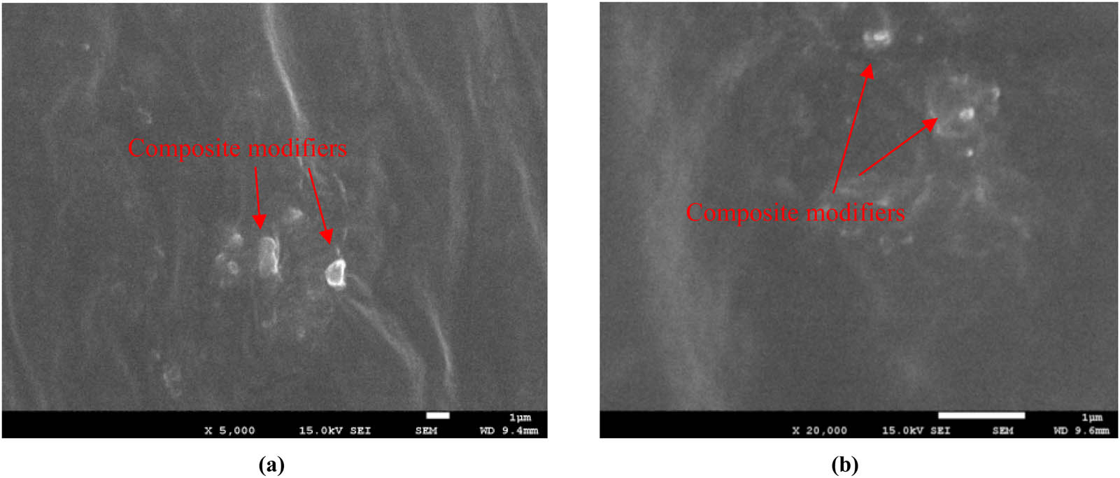 Figure 8 
                     Different magnification images of composite-modified asphalt: (a) composite-modified asphalt amplifies 5,000 times and (b) composite-modified asphalt amplifies 20,000 times.
                  