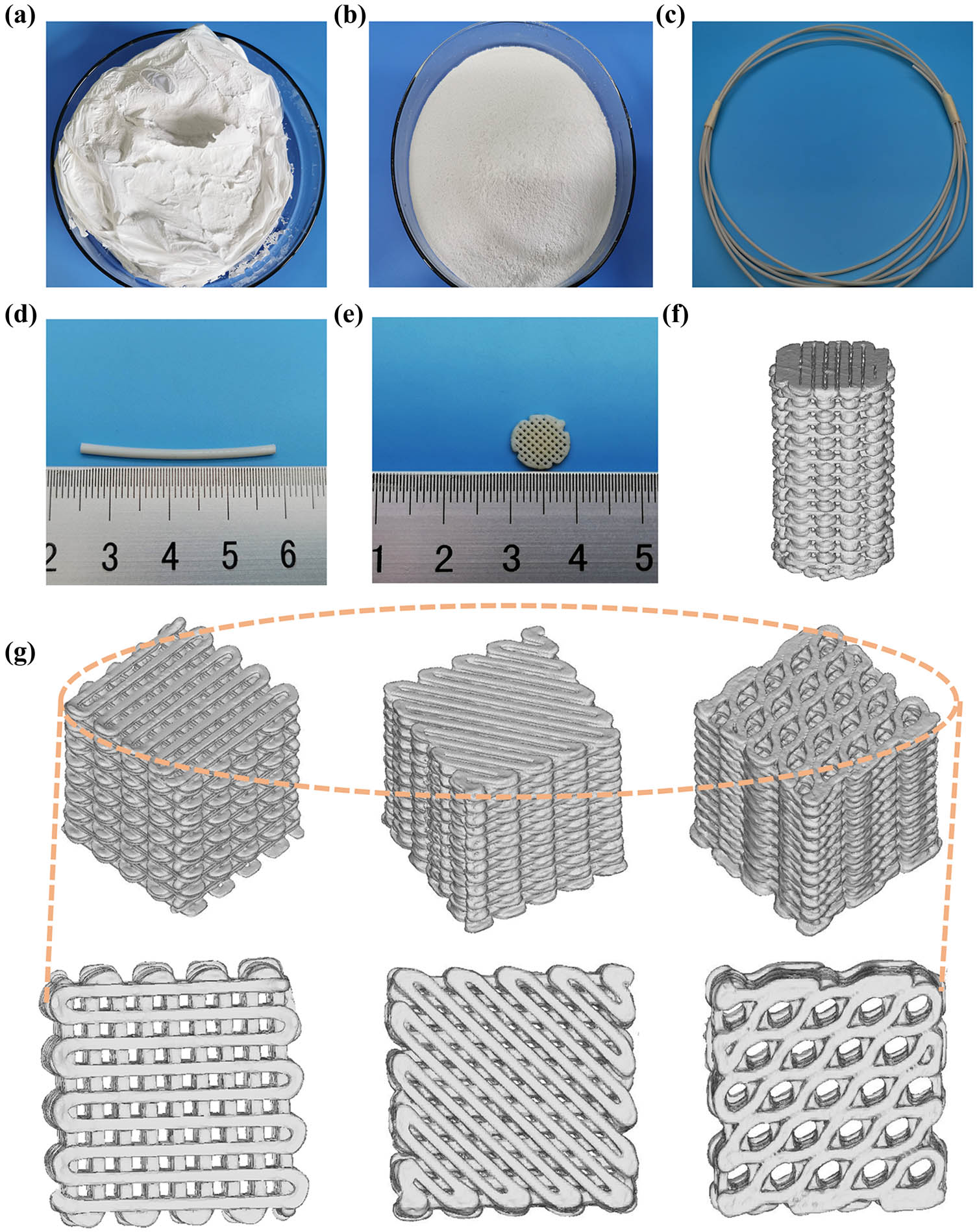 Figure 2 
                  Manufacture of PLA/n-HA composites. (a) Dry raw PLA/n-HA material; (b) crushed raw PLA/n-HA materials; (c and d) PLA/n-HA composite filament; (e) 3D-printed PLA/n-HA composite cell scaffolds; (f) CT reconstruction of a 3D-printed composite cylinder; and (g) CT reconstruction of a 3D-printed (forward, diagonal, honeycomb) blocks.
               