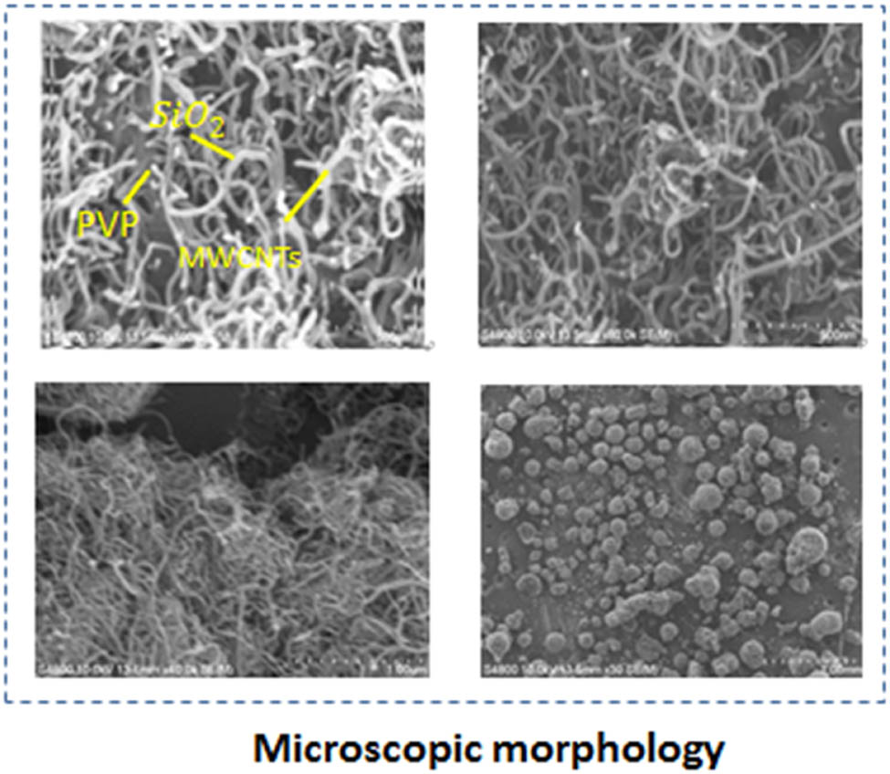 Figure 4 
                  Scanning electron microscopic imaging of MWCNTs–SiO2 particles.
               
