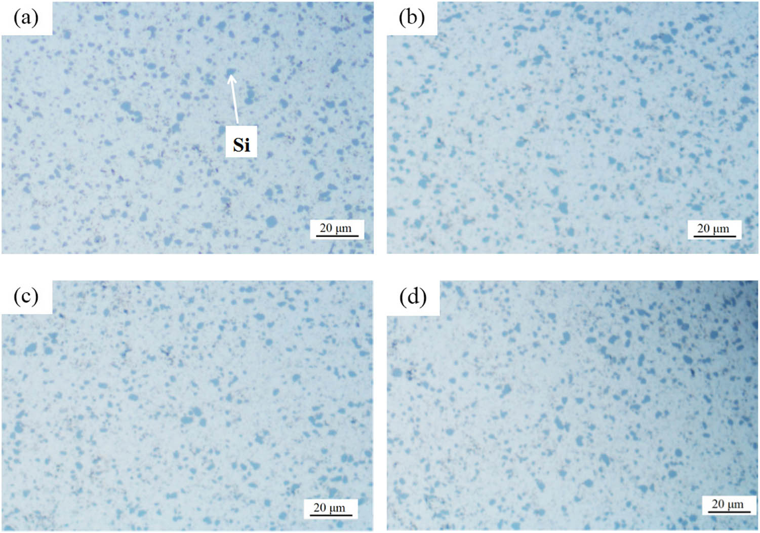 Figure 1 
                  Metallographic structure of composites with different nano-SiCp volume fraction: (a) 1% SiCp, (b) 2% SiCp, (c) 3% SiCp, and (d) 4% SiCp.
               