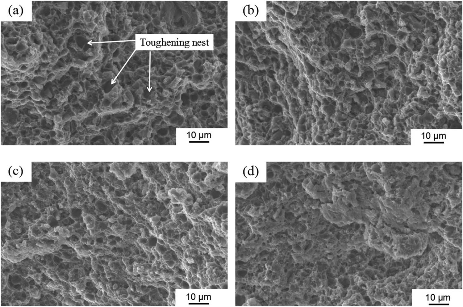 Figure 7 
                  Fracture morphology of nanocomposites with different SiCp volume fractions: (a) 1% SiCp, (b) 2% SiCp, (c) 3% SiCp, and (d) 4% SiCp.
               