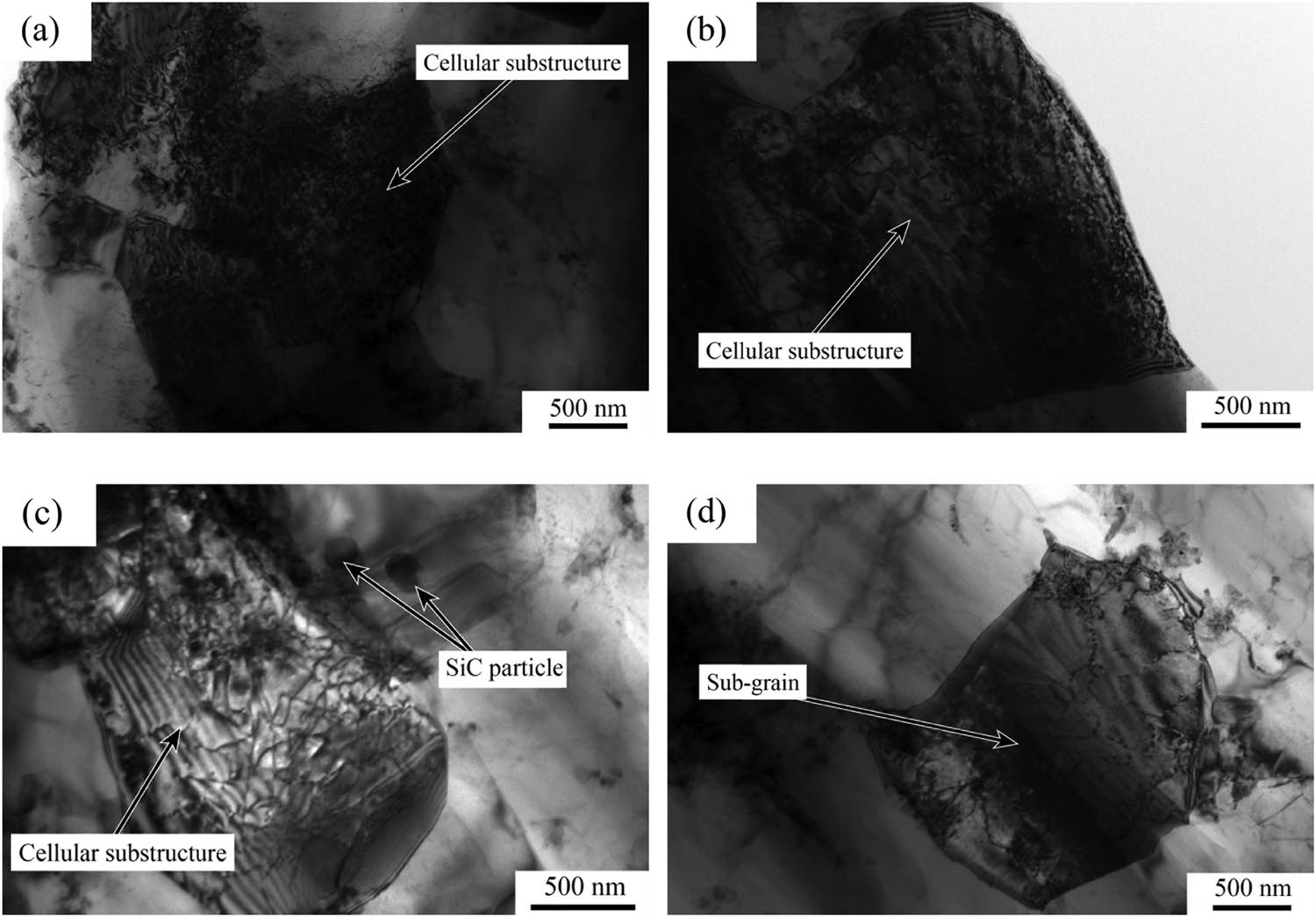 Figure 10 
                     TEM images of nano-SiCp/Al–7Si matrix composites at different deformation conditions: (a) T = 470°C, 
                           
                              
                              
                                 
                                    ε
                                    ̇
                                 
                              
                              \dot{\varepsilon }
                           
                         = 5 s−1; (b) T = 470°C, 
                           
                              
                              
                                 
                                    ε
                                    ̇
                                 
                              
                              \dot{\varepsilon }
                           
                         = 1 s−1; (c) T = 490°C, 
                           
                              
                              
                                 
                                    ε
                                    ̇
                                 
                              
                              \dot{\varepsilon }
                           
                         = 5 s−1; and (d) T = 490°C, 
                           
                              
                              
                                 
                                    ε
                                    ̇
                                 
                              
                              \dot{\varepsilon }
                           
                         = 1 s−1.
                  