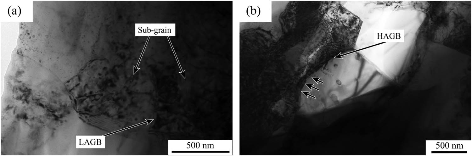 Figure 11 
                     TEM images of nano-SiCp/Al–7Si matrix composites at deformation temperature of 530°C and strain rate of 1 s−1.
                  