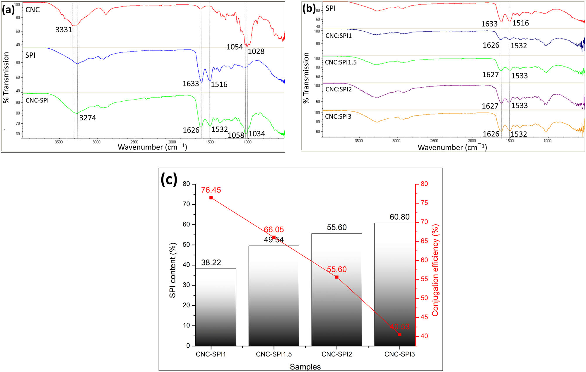 Figure 2 
                  FTIR spectra of (a) CNC, SPI, and CNC–SPI nanoconjugate, (b) SPI, CNC–SPI1, CNC–SPI1.5, CNC–SPI2, and CNC–SPI3, and (c) SPI content and conjugation efficiency of CNC–SPI1, CNC–SPI1.5, CNC–SPI2, and CNC–SPI3 determined by the Bradford assay. Error bars represent the standard error of measurement.
               
