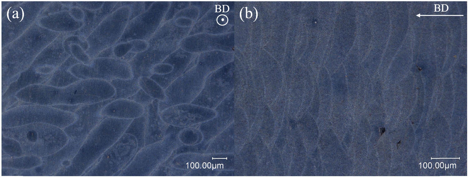 Figure 1 
                  Microscopy of CNTs/AlSi10Mg nanocomposites (the highly dense sample no. 3 with a relative density of 99.3%) showing melt pool morphology: (a) dark field microscopy of the top surface and (b) the cross-section showing melt layers along the build direction with no apparent micropores or defects.
               