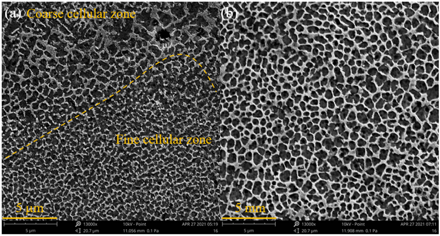 Figure 2 
                  The subgrain textures of CNTs/AlSi10Mg nanocomposites exhibit a eutectic and subcellular Al–Si microstructure in a plane perpendicular to the build direction for (a) sample no. 1 with a laser power of 450 W and a laser scan speed of 2.4 m/s showing fine and coarse cellular microstructure, and (b) sample no. 15 with a laser power of 350 W and a laser scan speed of 2.0 m/s showing a nonuniform fine cell distribution.
               