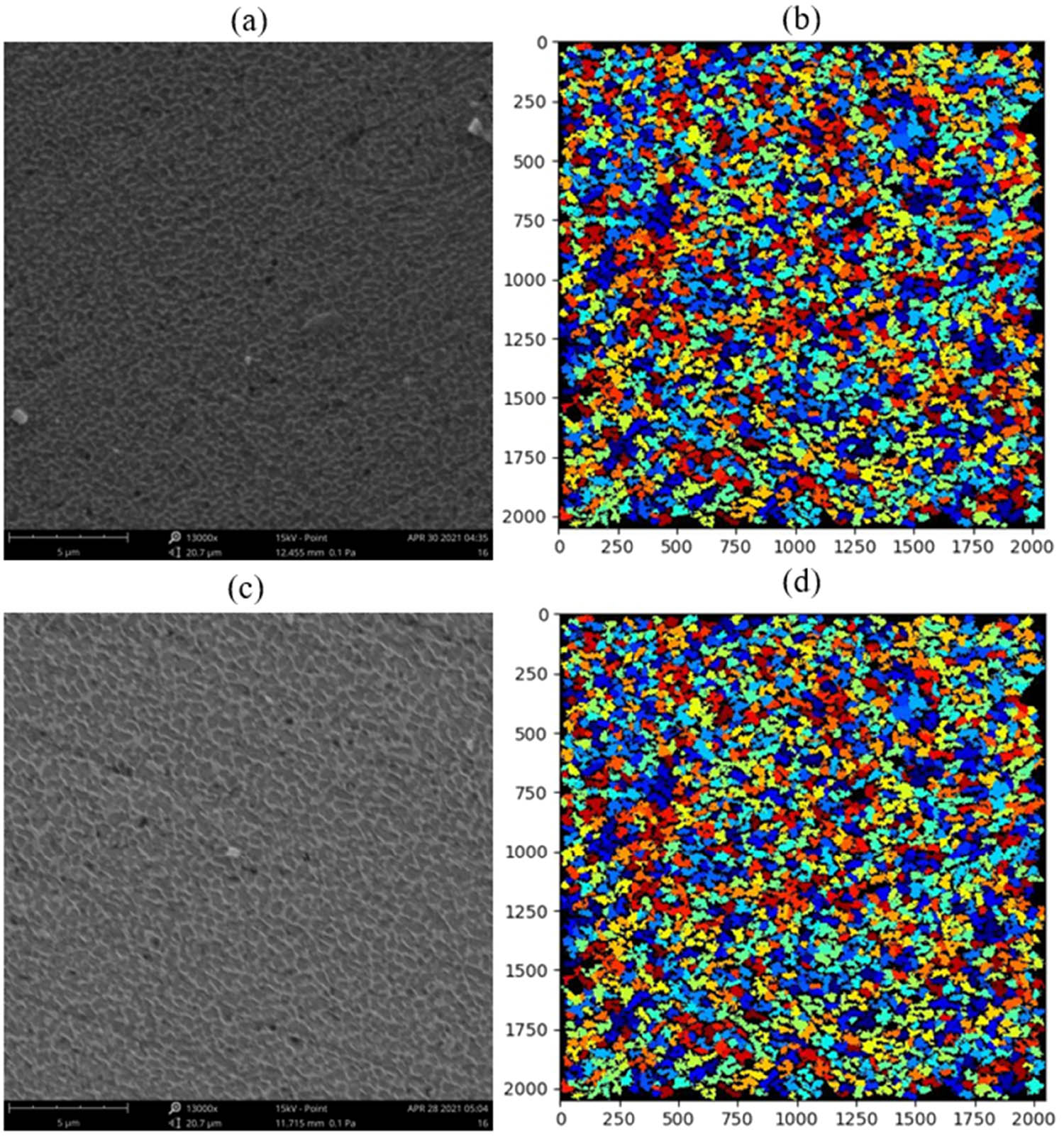 Figure 12 
                  Low hardness (99.52 HV) and high hardness (124.29 HV) samples with good prediction accuracy: (a) and (b) low hardness sample (sample no. 5 in Figure 11) SEM image and cell segmentation map; (c) and (d) high hardness sample (sample no. 8 in Figure 11) SEM image and cell segmentation map.
               