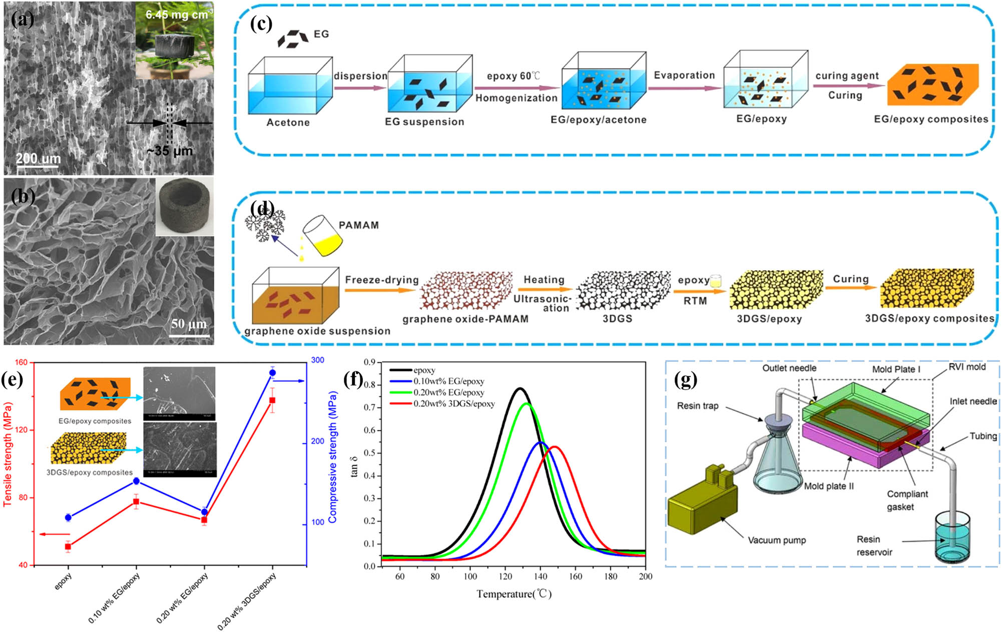 Figure 2 
                     The SEM images and their corresponding objects of (a) aerogel [25] (Copyright 2021, American Chemical Society) and (b) high-density sponge [26] (Copyright 2018, Wiley). Preparation of EP/GO composites by (c) direct mixing and (d) vacuum seepage. (e) Mechanical properties and (f) thermal stability of Ep/graphene composites [27] (Copyright 2015, American Chemical Society). (g) Schematic diagram of high-speed seepage device [29] (Copyright 2016, Taylor & Francis).
                  