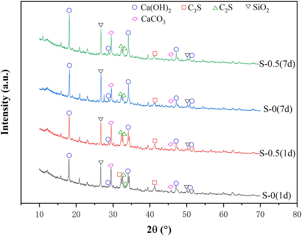 Figure 4 
                  X-ray patterns of hydration products of cement pastes.
               