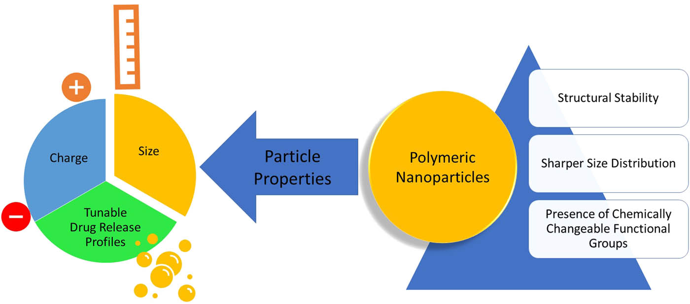 Figure 2 
                     Physicochemical properties of PNPs.
                  