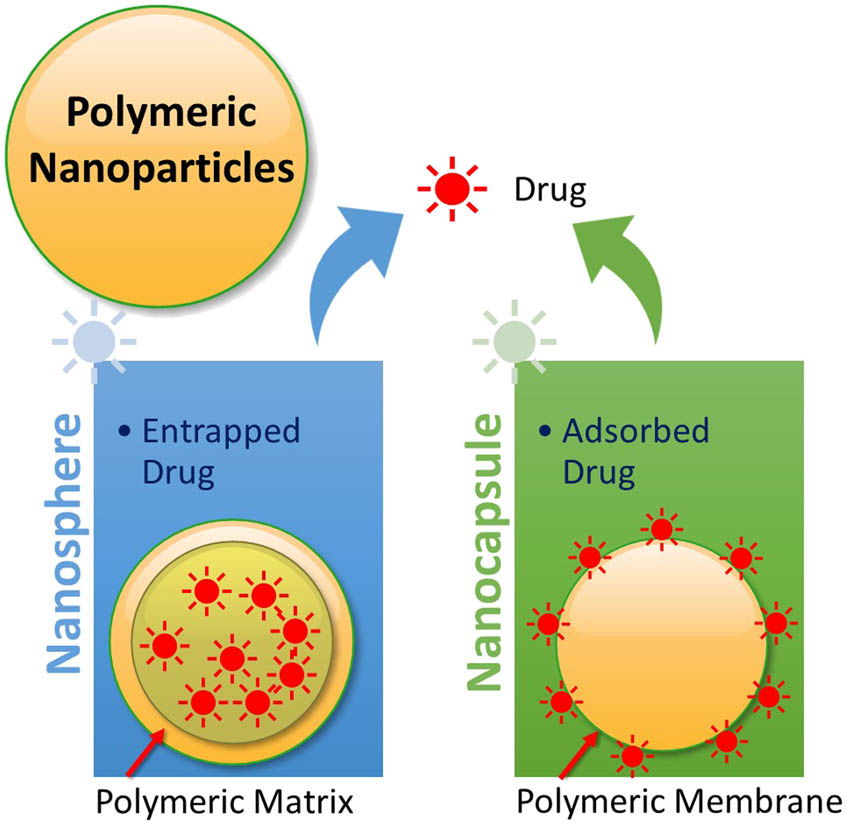 Figure 3 
                     Types of polymeric NPs based on drug loadings.
                  