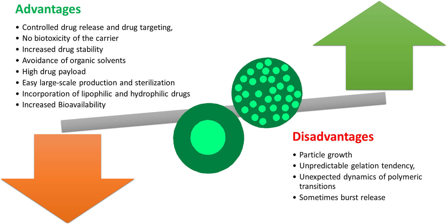 Figure 5 
                        Advantages and disadvantages of SLNs.
                     