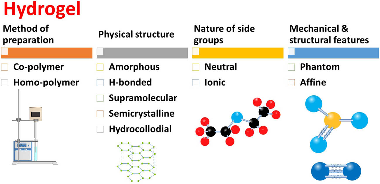 Figure 6 
                  Classification of hydrogels based on their characteristics.
               