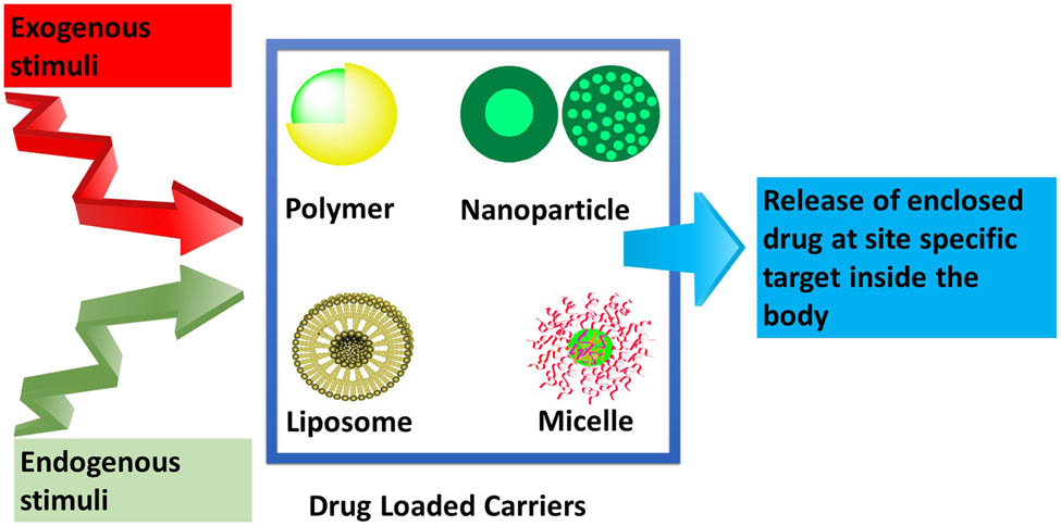 Figure 11 
                  Stimuli responsive/triggered drug release systems.
               