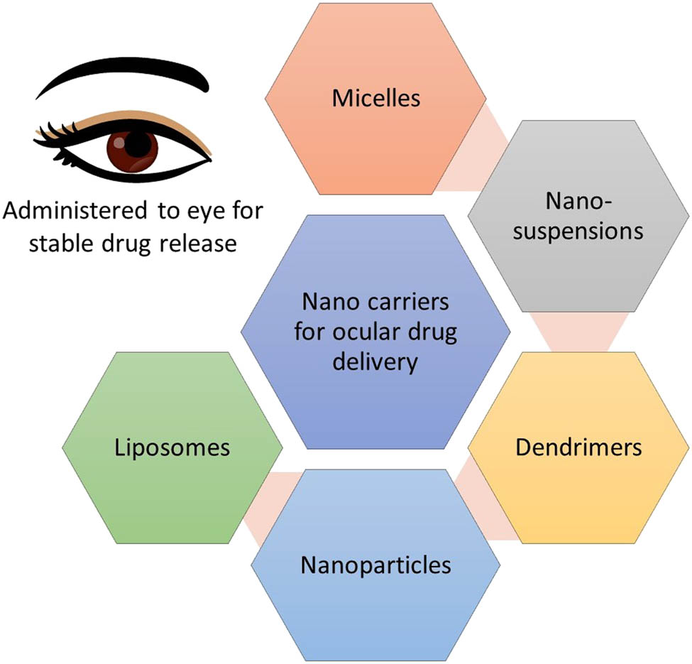 Figure 12 
                     Smart nano-carriers for ocular drug delivery.
                  