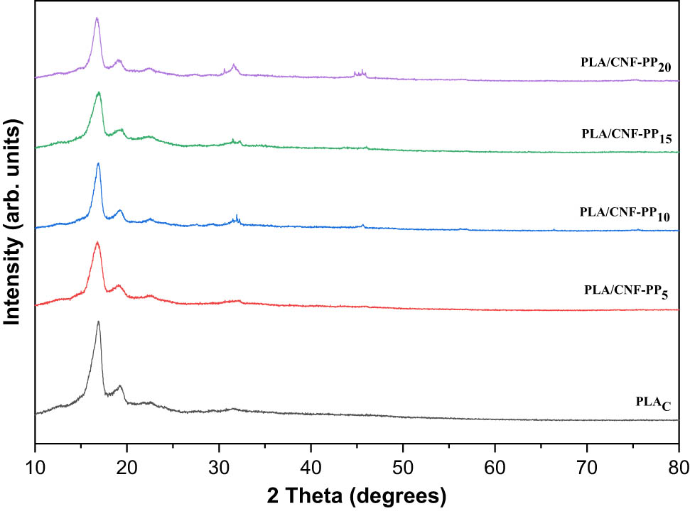 Figure 3 
                  XRD analysis of PLA scaffolds with different CNF contents.
               