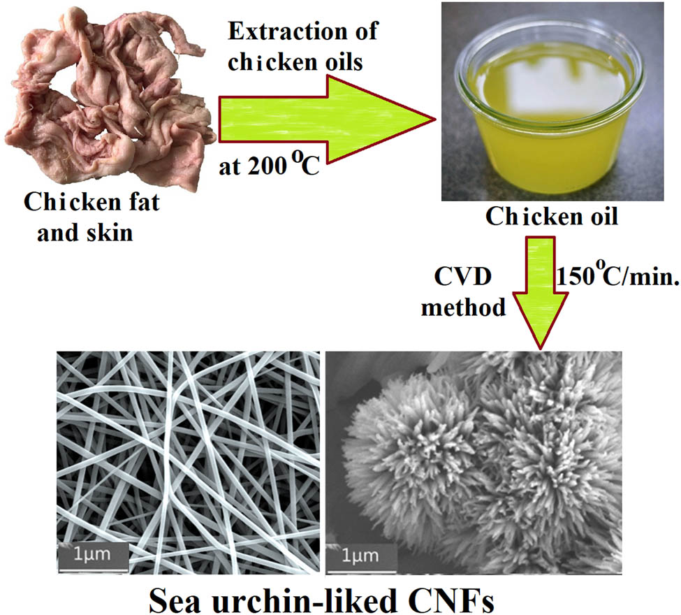 Figure 4 
                     (Bottom) SEM images of CNFs synthesized using waste chicken fat. Copyright © 2015, Elsevier Publishing Group [362].
                  