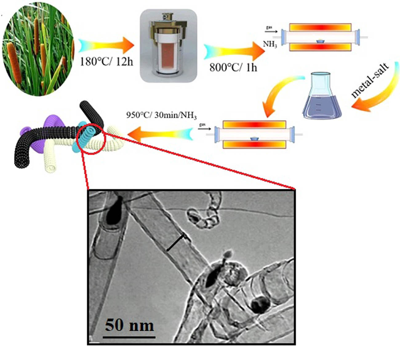 Figure 5 
                     Schematic of the preparation of CNTs with corresponding particle size determination using high resolution transmission electron microscopy (HRTEM) imaging [371].
                  