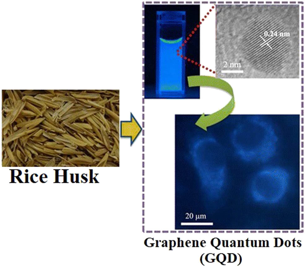 Figure 8 
                     Proposed synthesis for powder GQDs by the hydrolysis method and corresponding TEM imaging. Copyright © 2016, ACS Publishing Group [188].
                  