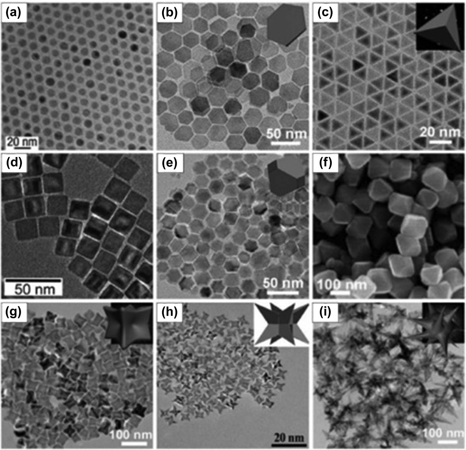 Figure 10 
                     Example morphologies of 0D IO NPs synthesized from iron oleate and sodium oleate (biomass wastes): (a) nanospheres, (b) plates, (c) tetrahedrons, (d) cubes, (e) truncated octahedrons, (f) octahedrons, (g) concaves, (h) octapods, and (i) multi branches [405].
                  