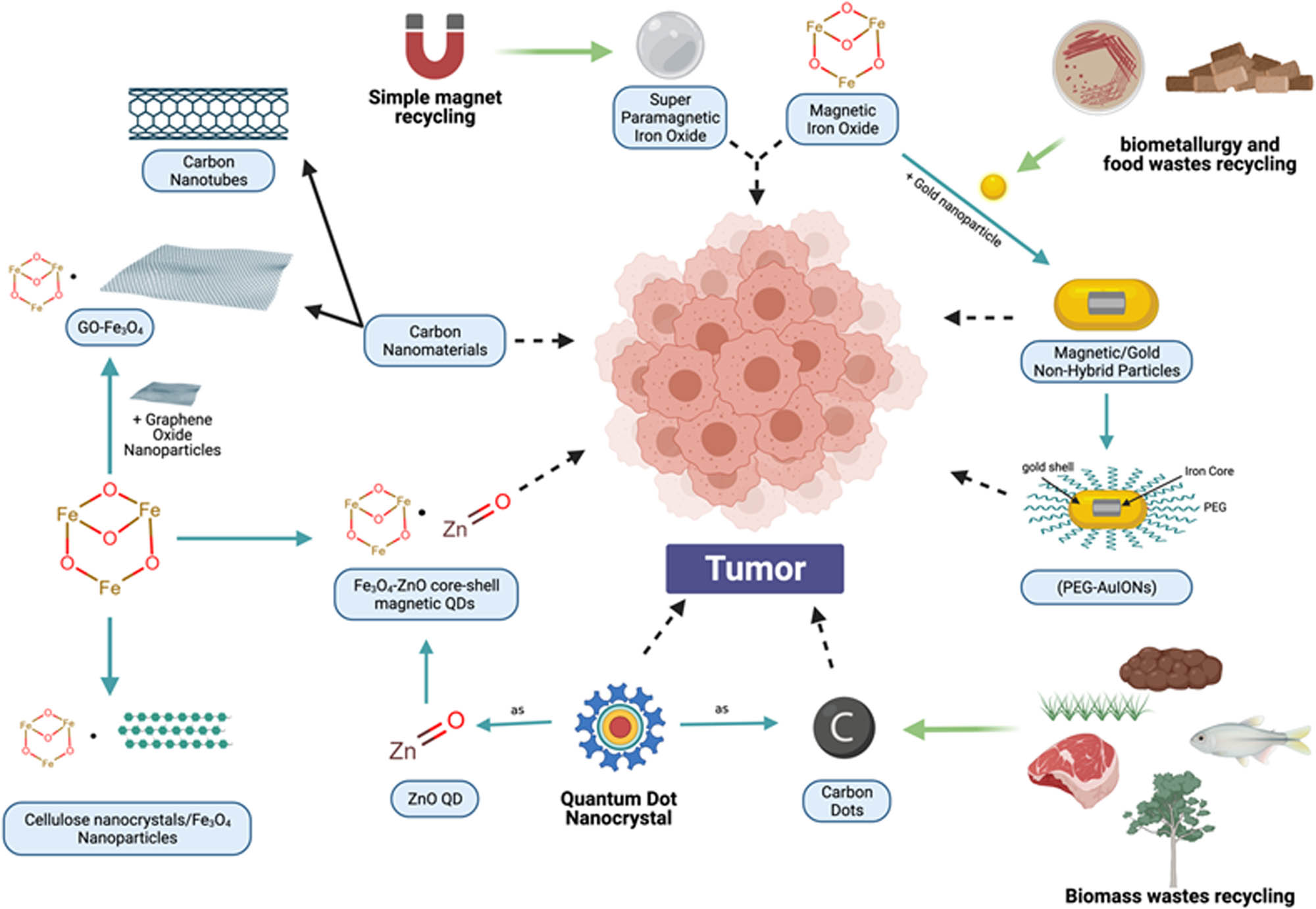Figure 13 
                  Schematic representation of some NPs recycled from wastes and used in MRI for the diagnosis of diseases, especially tumors.
               