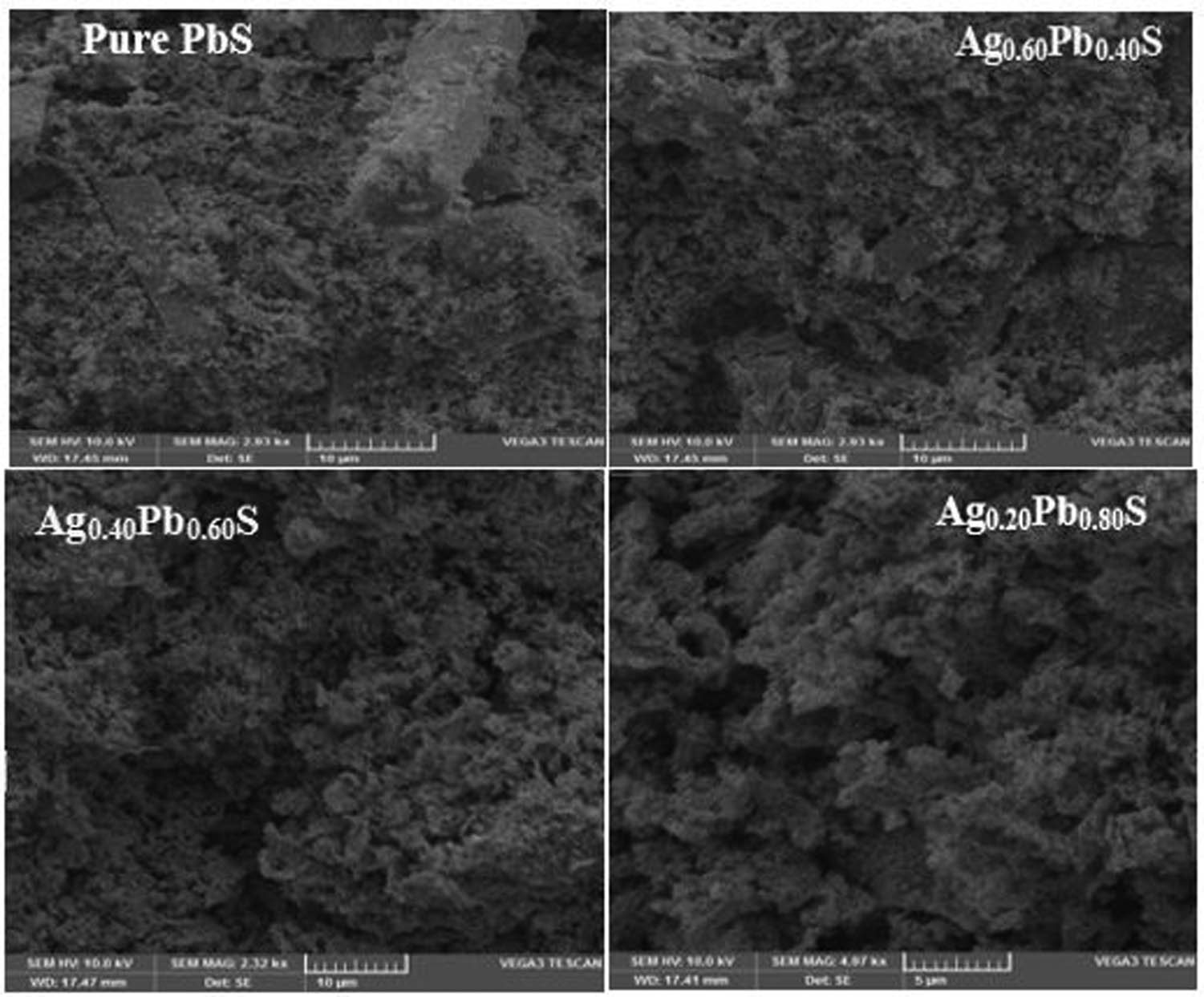 Figure 4 
                  SEM micrographs of pure PbS and Ag:PbS at different concentrations: (a) 20%, (b) 40%, and (c) 60%.
               