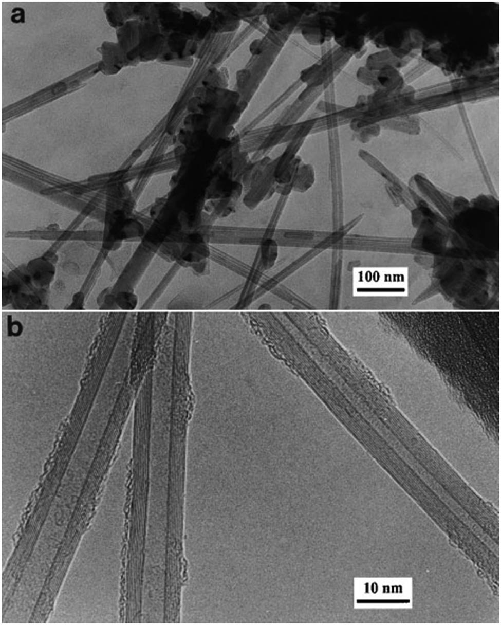 Figure 2 
                  (a) The TEM image of nanotubes mixed with some disordered carbon and (b) the higher magnification image of individual MWCNTs [2].
               