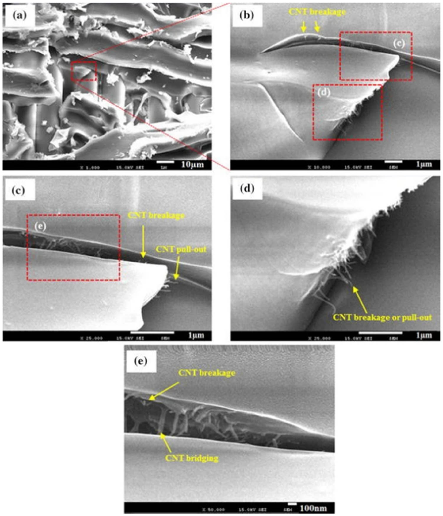 Figure 19 
                  Microscope failure mechanisms of 0.75% MWCNT-modified GFRPs under 22 J impact, (a) glass fiber bridging and debonding, (b) matrix cracks, and (c)–(e) CNT failure modes.
               