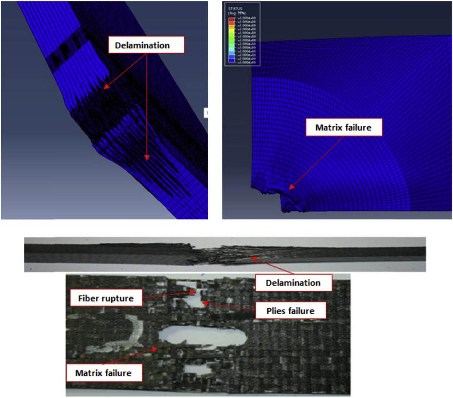 Figure 22 
                  The delamination visualization comparison of OHT-cohesive model and experimental specimens [134].
               