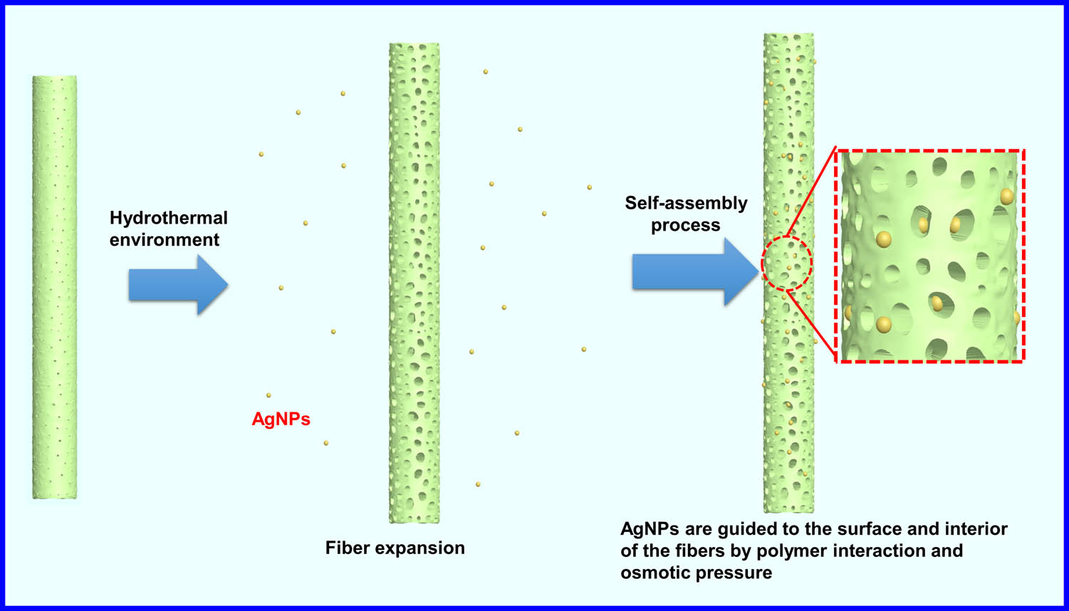 Figure 2 
               Schematic representation of the self-assembly of HBPAA-capped AgNPs on polyester fiber surfaces in a high-temperature and high-pressure hydrothermal environment.
            