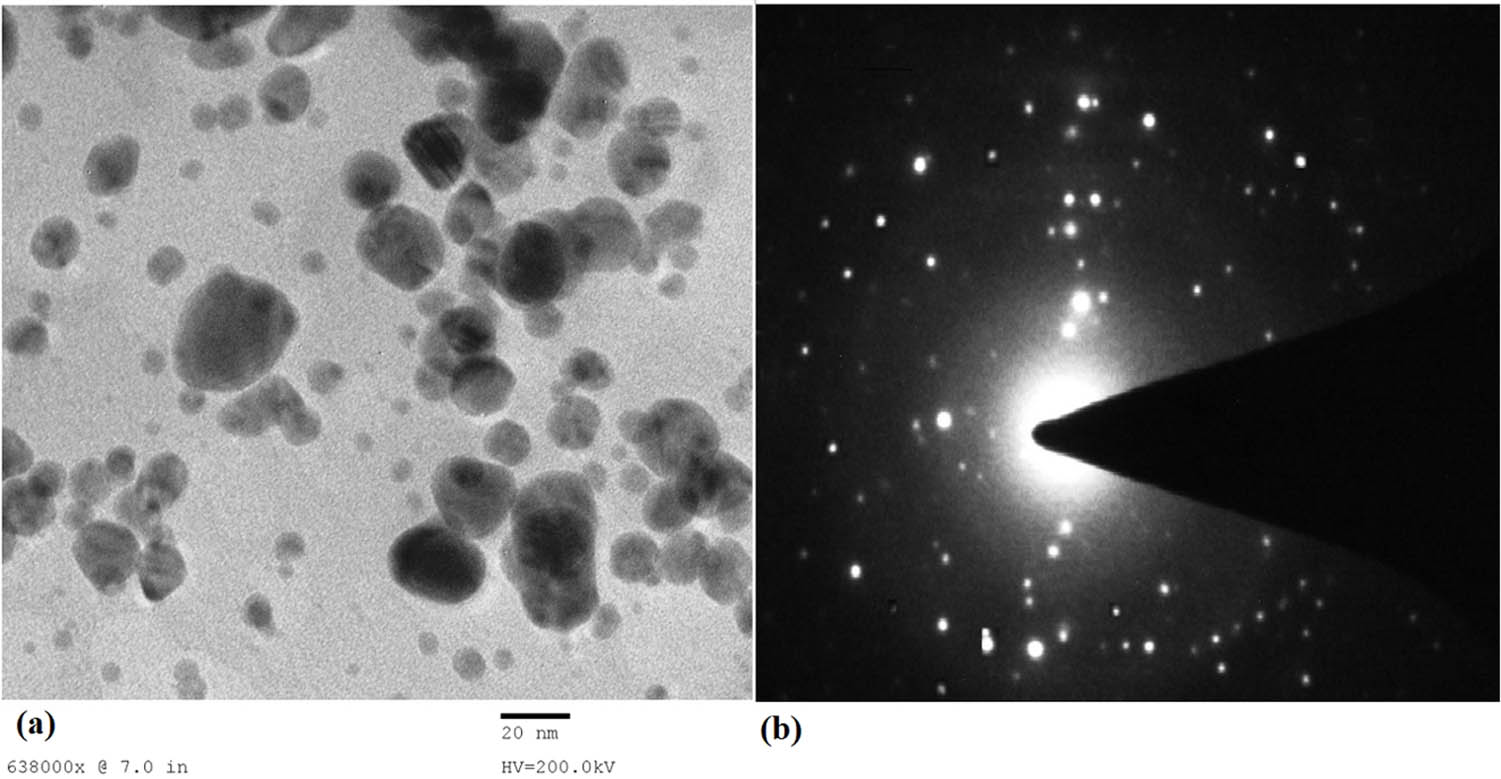 Figure 6 
                  (a) TEM images showing the circular shape of the synthesized AgNPs and (b) the selected area of electron diffraction (SAED) pattern of silver nanoparticles chosen at random.
               