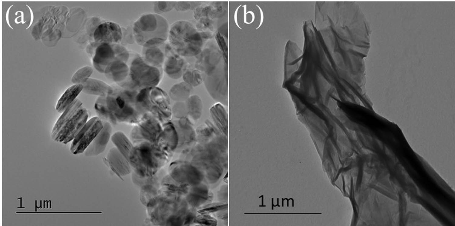 Figure 2 
               TEM images of (a) BN nanoparticles and (b) GNPs.
            
