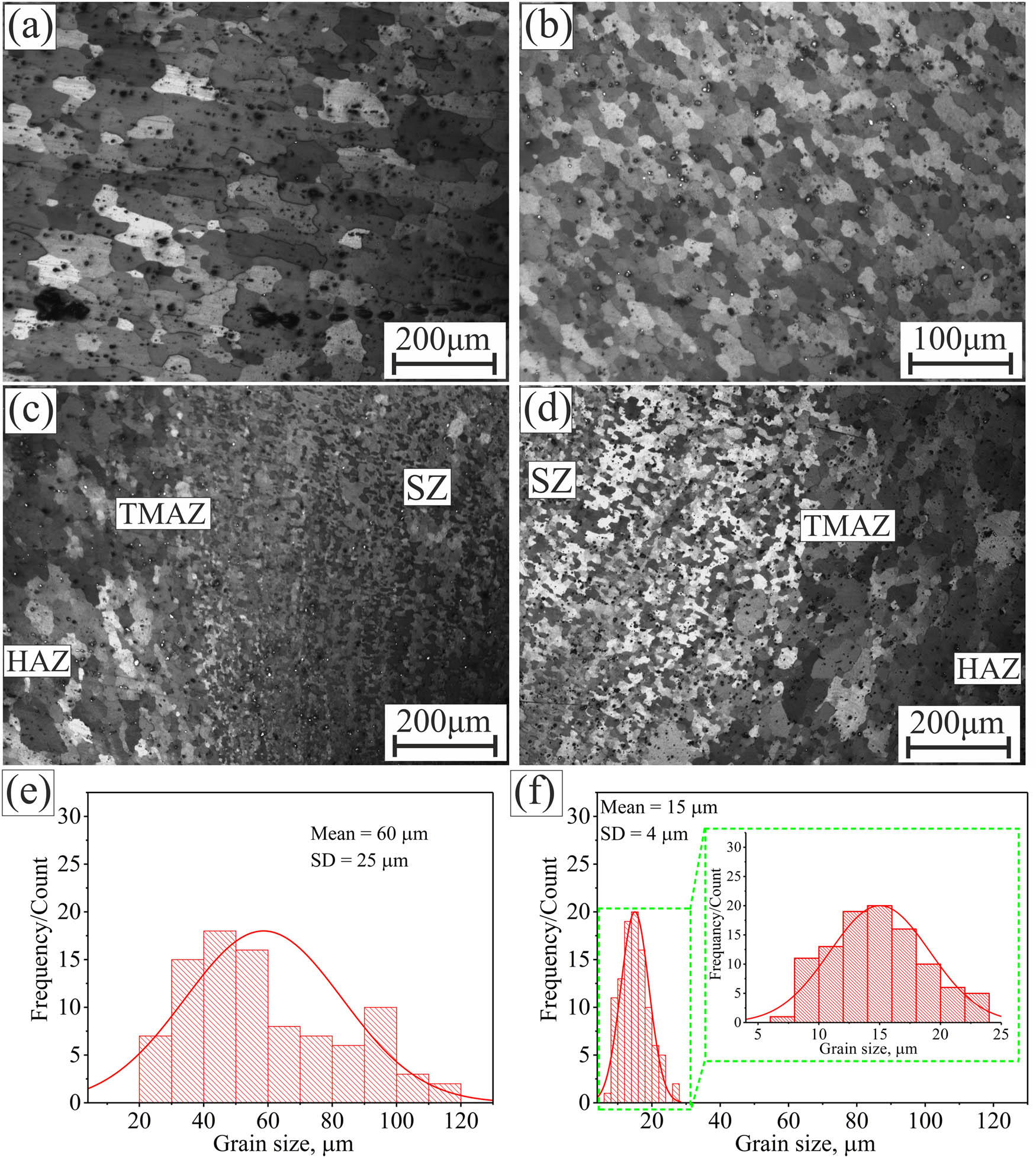 Figure 3 
                  Microstructure of (a) as-received Al 5251 alloy, (b) after FSP, (c) advancing side, and (d) retreating side; (e) grain size distribution of the as-received alloy and (f) grain size distribution of SZ after FSP.
               