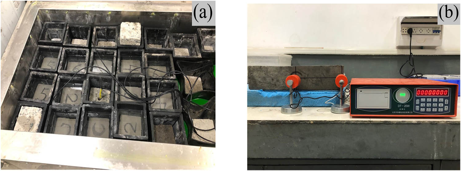 Figure 3 
                     (a) Freezing-thawing specimens and (b) measurement of relative dynamic elastic modulus.
                  