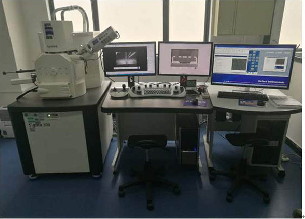 Figure 5 
                  Scanning electron microscope.
               