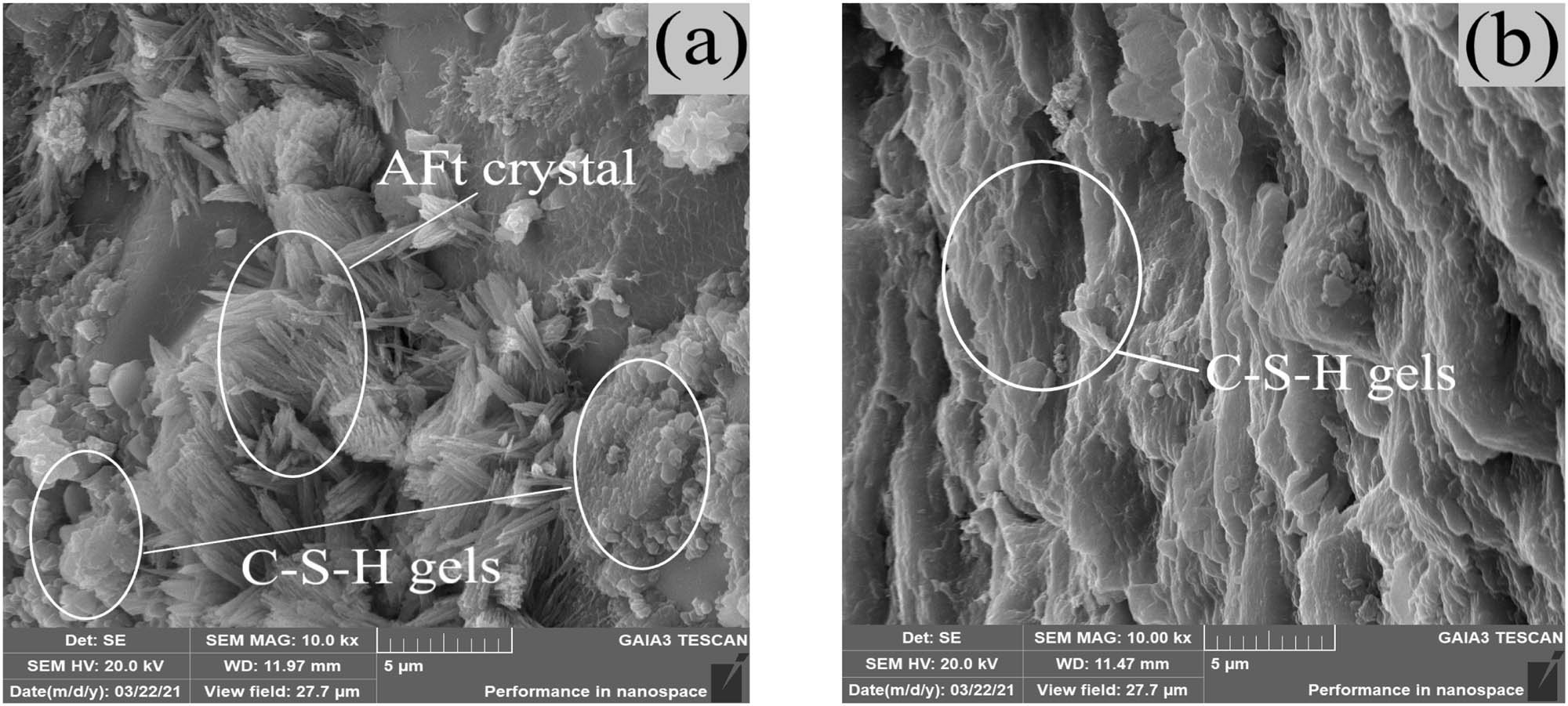 Figure 7 
                  Hydration products: (a) C and (b) SSC20–60.
               