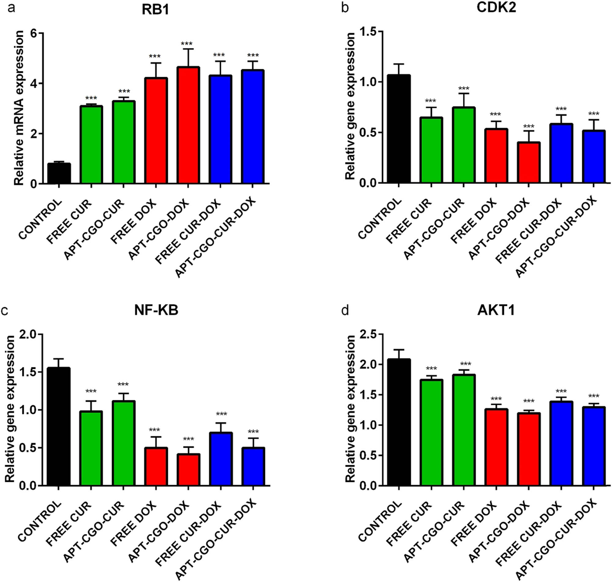 Figure 5 
                  Effect of free CUR, APT-CGO-CUR, free DOX, APT-CGO-DOX, free CUR-DOX, and APT-CGO-CUR-DOX on the expression of (a) RB1 (b) CDK2 (c) NF-KB (d) AKT1 in the AGS cell line after 48 h.  Results are expressed as mean ± standard deviation: *p < 0.05; **p < 0.01; ***p < 0.001.
               
