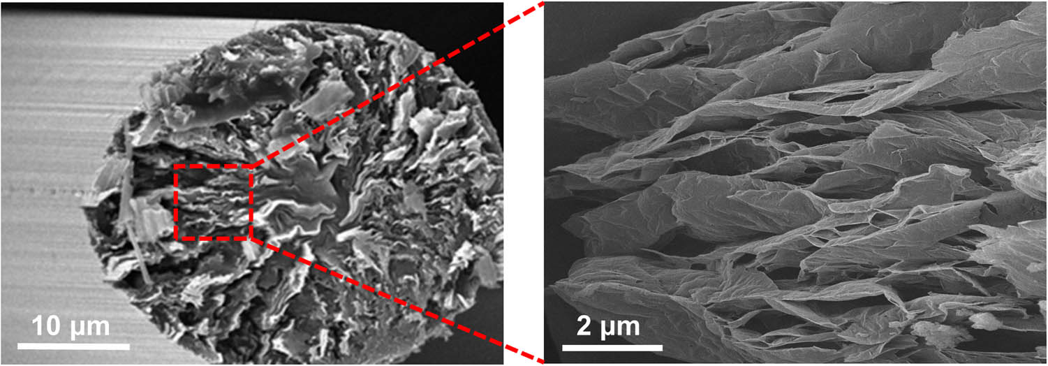 Figure 2 
                  SEM images of the 2-D graphene nanosheets in the pitch-based GFs).
               