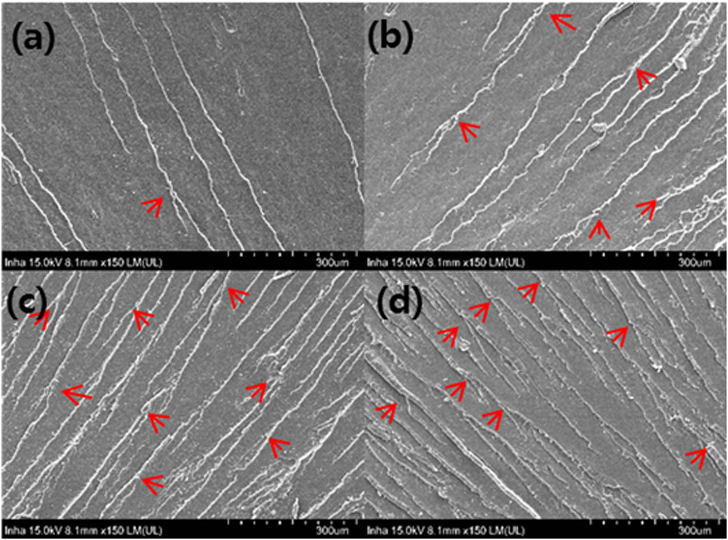 Figure 8 
                  SEM images of the fracture surfaces: (a) EP/GO0.2, (b) EP/GO0.4, (c) EP/GO0.6, and (d) EP/GO0.8 nanocomposites.
               