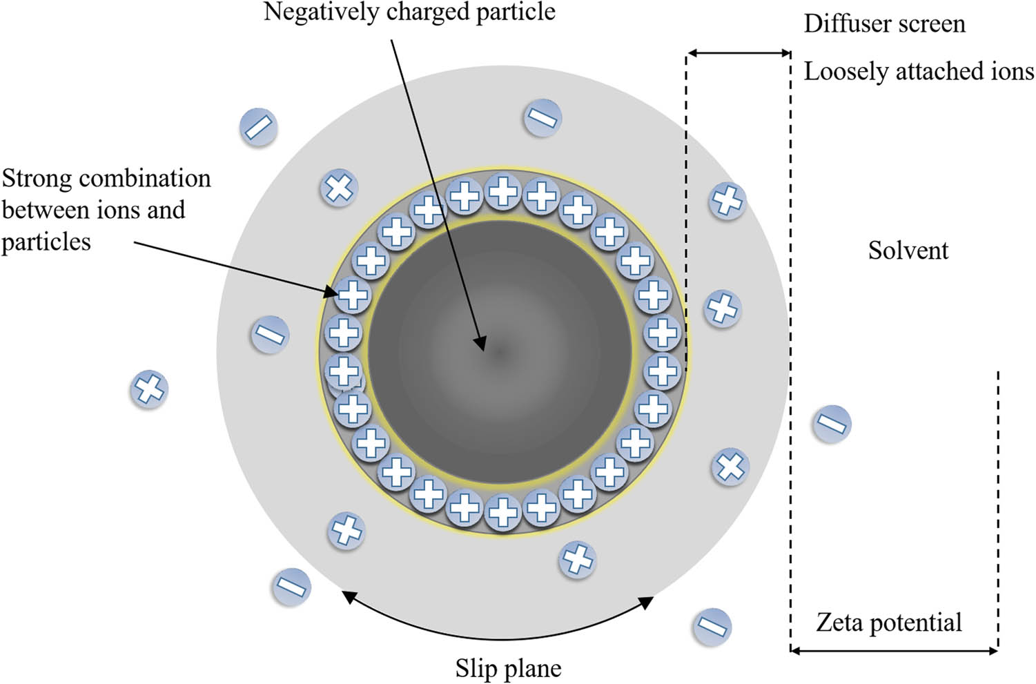 Figure 1 
                     Schematic of zeta potential.
                  