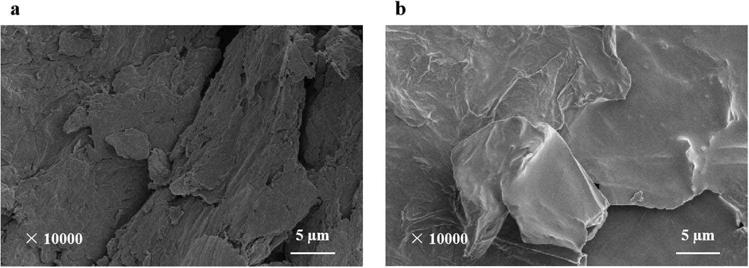 Figure 6 
                     SEM images of GO: (a) before ultrasonic dispersion and (b) after ultrasonic dispersion for 3 h.
                  