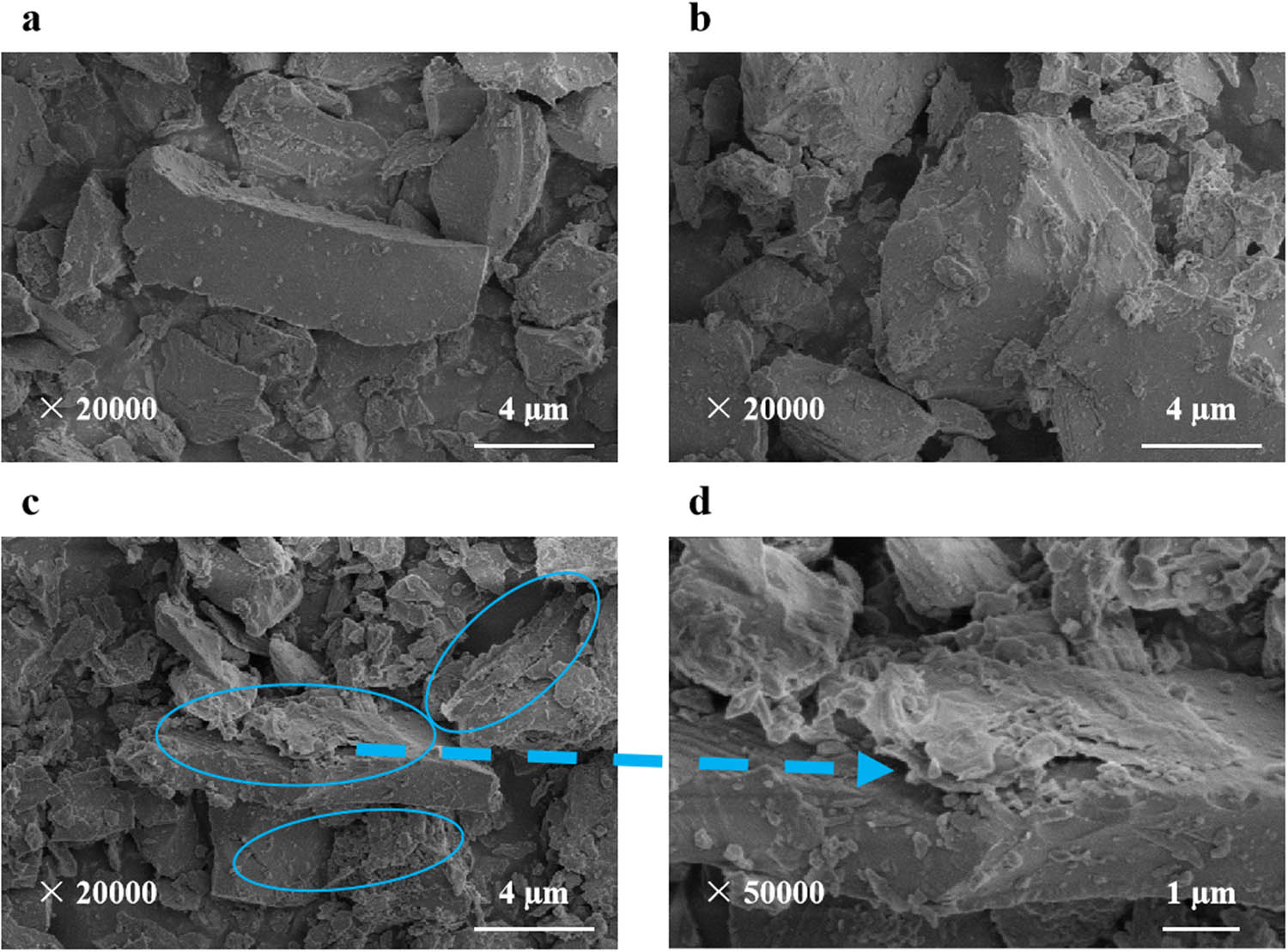Figure 7 
                     SEM images: (a) tourmaline, (b) KH-550-modified tourmaline, and (c and d) GO/KT composites.
                  