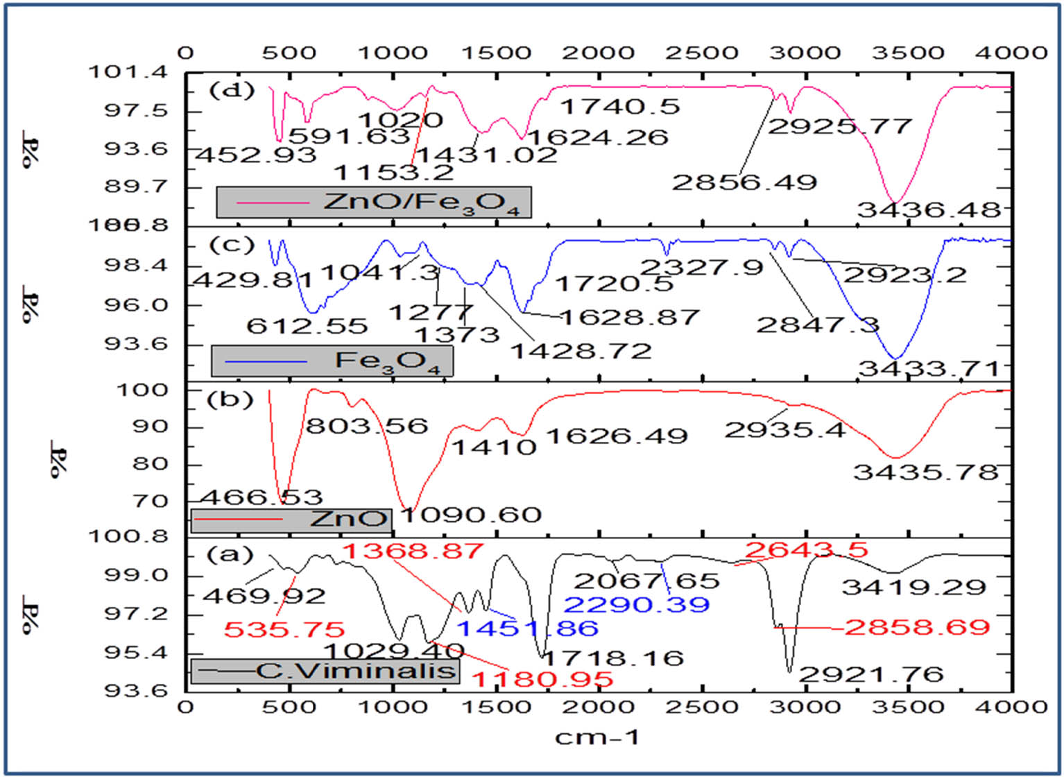 Figure 2 
                  FTIR spectra of (a) C. viminalis leaf extract, (b) ZnO, (c) Fe3O4, and (d) ZnO/Fe3O4 NCs.
               