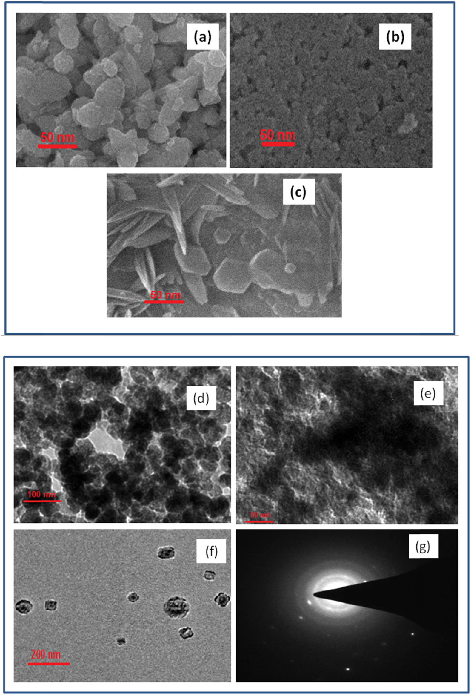 Figure 4 
                  SEM images: (a): ZnO, (b) Fe3O4, and (c) ZnO/Fe3O4 NCs. TEM images: (d) ZnO, (e) Fe3O4, (f) ZnO/Fe3O4 NCs, and (g) SAED pattern of ZnO/Fe3O4 NCs.
               