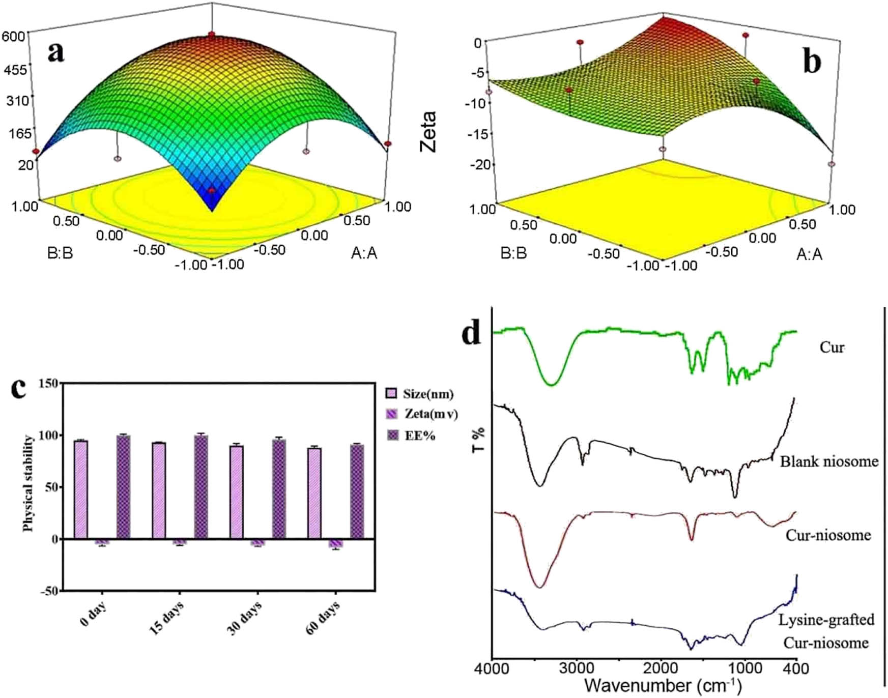 Figure 4 
                  The response surface plot of the (a) droplet size and (b) zeta potential. (c) Physical stability of the modified niosomal NPs during two months. (d) FTIR spectra of Cur, blank noisome, Cur loaded in noisome NPs, and lysine-grafted Cur-niosomal NPs.
               