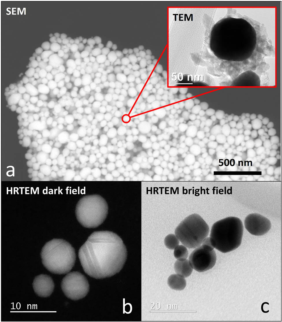 Figure 5
(a) SEM micrograph of PVP-stabilised AuNPs with a TEM of representative AuNP, HRTEM image of the AuNPs: (b) dark and (c) bright fields showing their morphology, structures, some dislocations, and twinning.