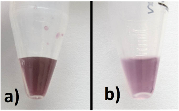Figure 10
(a) Unconjugated AuNPs, and (b) AuNPs conjugated with SARS-CoV-2 and washed.