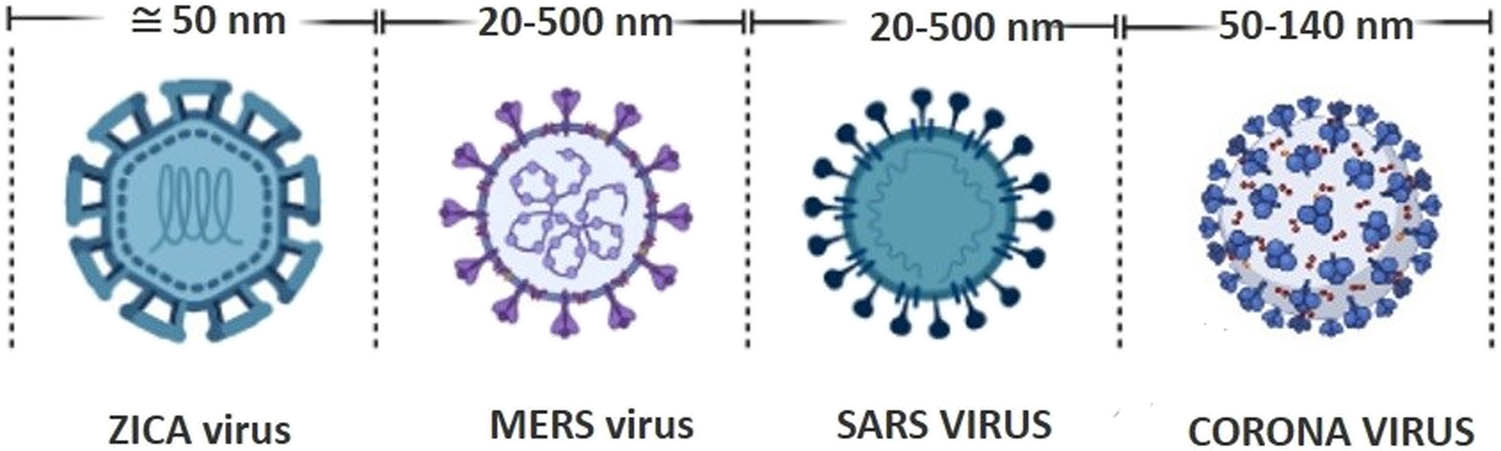 Figure 5
Coronaviruses related size.