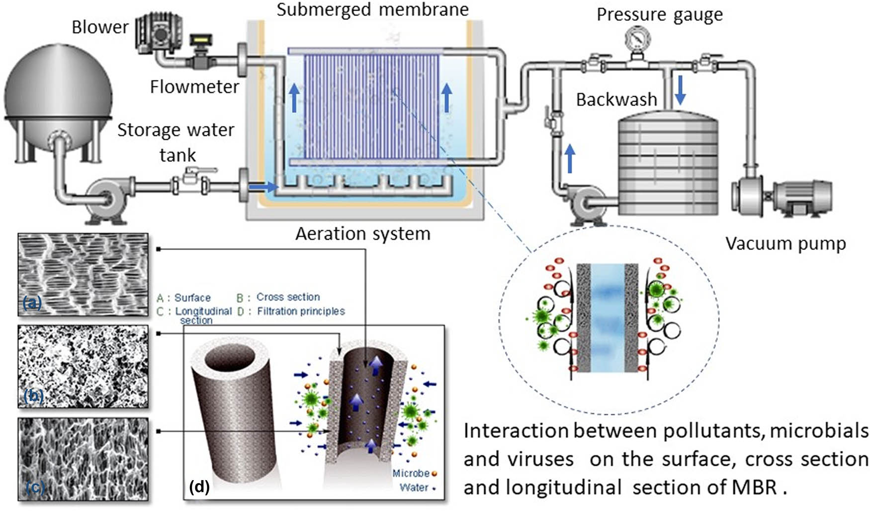 Figure 9
Membrane bioreactor (MBR) for virus removal.